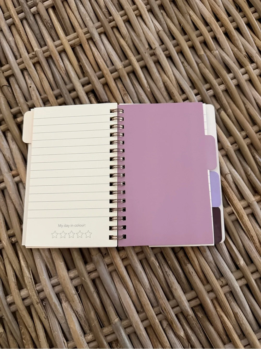 Flying Tiger Copenhagen- 'Wham Bam I Am A Plan Fan' small notebook w dividers